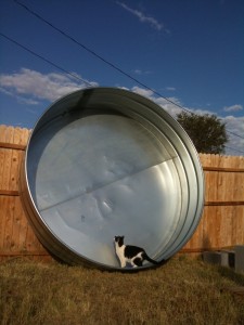 The new tub for our very own hot springs.