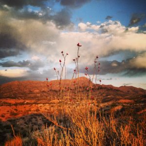 Turtleback Mountain at dusk.