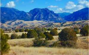 The largest national forest in the US, the Gila National Forest is located about two hours to the west.