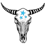 PLAIN Logo Blue Stars